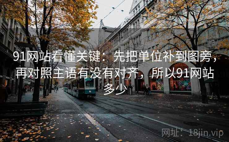 91网站看懂关键:先把单位补到图旁,再对照主语有没有对齐,所以91网站多少 第2张 91网站看懂关键:先把单位补到图旁,再对照主语有没有对齐,所以91网站多少 第2张